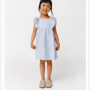 Zara pinstriped dress 2-3 years